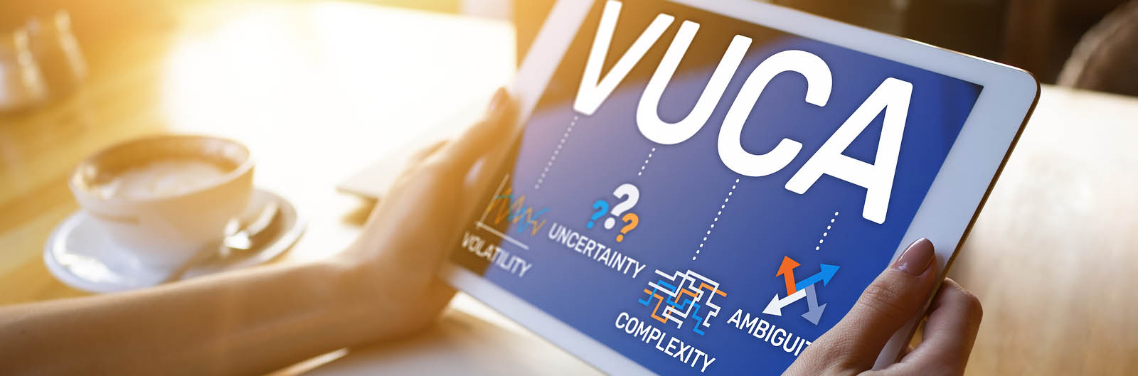 How To Deal With A VUCA Environment